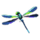 Cold Darner icon