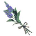 Cool Safflina icon