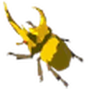 Energetic Rhino Beetle icon