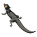 Fireproof Lizard icon