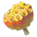 Fleet-Lotus Seeds icon