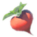 Hearty Radish icon