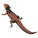 Hightail Lizard icon
