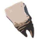 Hinox Tooth icon