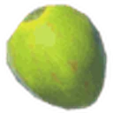 Palm Fruit icon