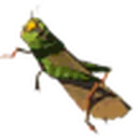 Restless Cricket icon
