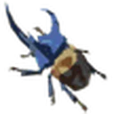 Rugged Rhino Beetle icon