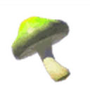 Stamella Shroom icon