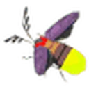 Sunset Firefly icon