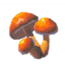 Sunshroom icon