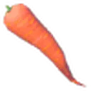 Swift Carrot icon