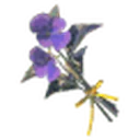 Swift Violet icon