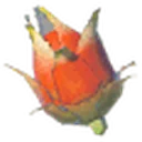 Voltfruit icon