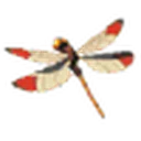 Warm Darner icon
