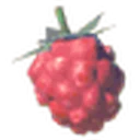 Wildberry icon