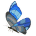 Winterwing Butterfly icon