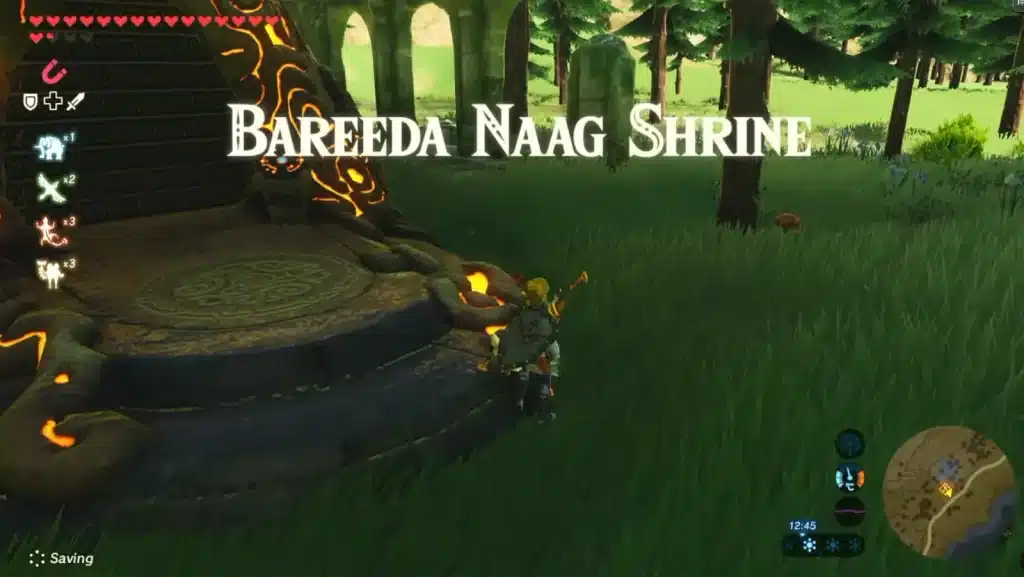 Link standing beside the Bareeda Naag Shrine pedestal in a grassy clearing south of Rito Village, with the shrine name on screen