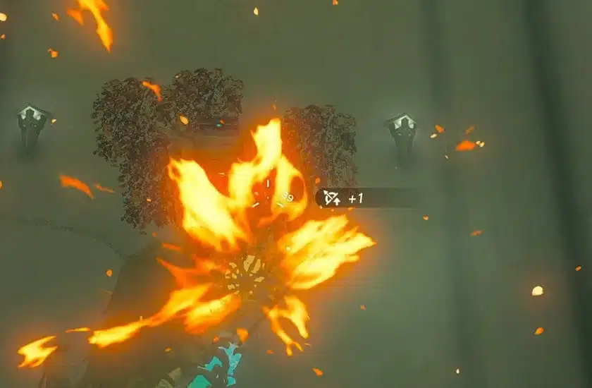 A fire fused arrow bursting into flames against a wall of brambles in Tears of the Kingdom
